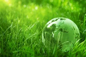 5 résolutions puissantes pour faire de 2026 l’année où votre entreprise s’engage (enfin) pour l’écologie – Par Thomas Burbidge