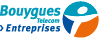 Bouygues Telecom Entreprises